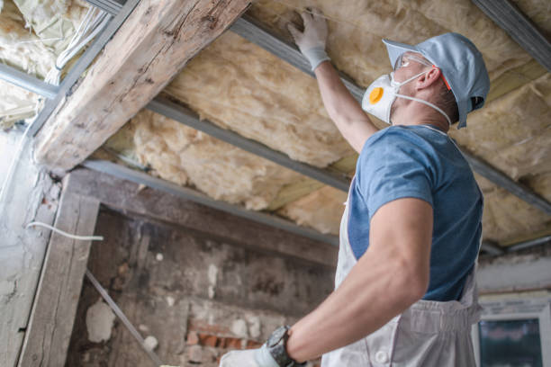 Best DIY Insulation Kits and Guidance in Cottleville, MO